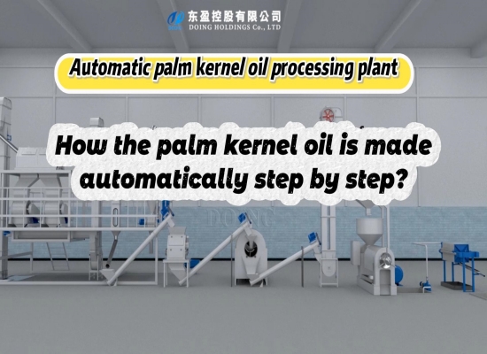 Fully automated palm kernel oil processing plant 3D operation video