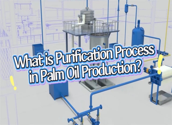 Introduction video of palm oil purification process