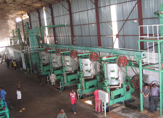 Large capacity palm kernel oil mill machinery