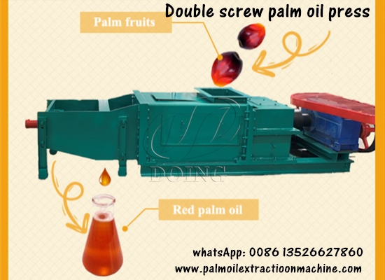 1tph doule screw palm oil press machine running video