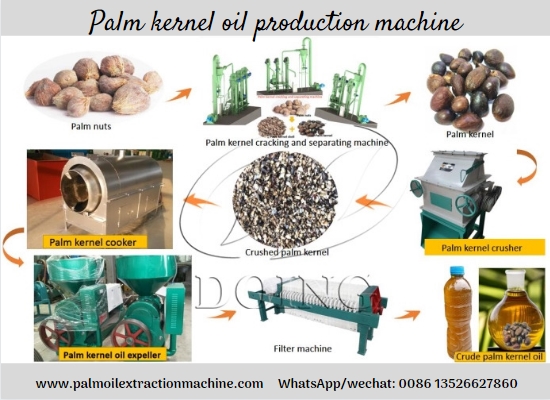 0.5-2tph palm kernel oil pressing line, palm kernel oil extraction machine