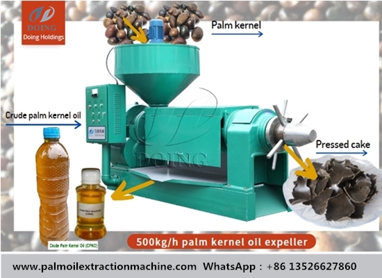 Palm kernel oil expeller, palm kernel oil extraction machine running video