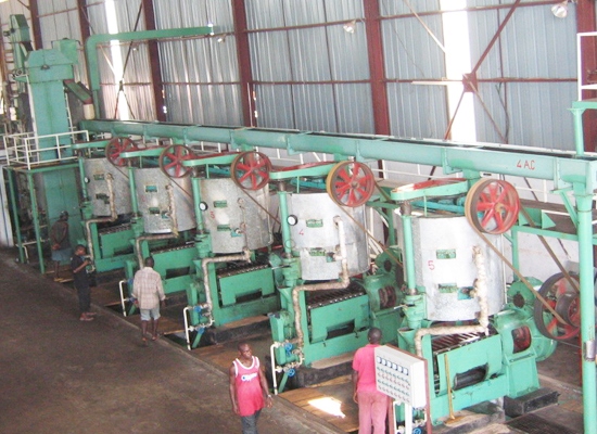 Automatic palm kernel oil press production line