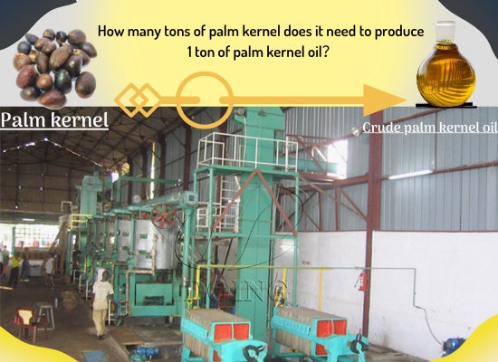 How many tons palm kernels are needed to produce 1 ton palm kernel oil?_Palm  Oil Extraction FAQ