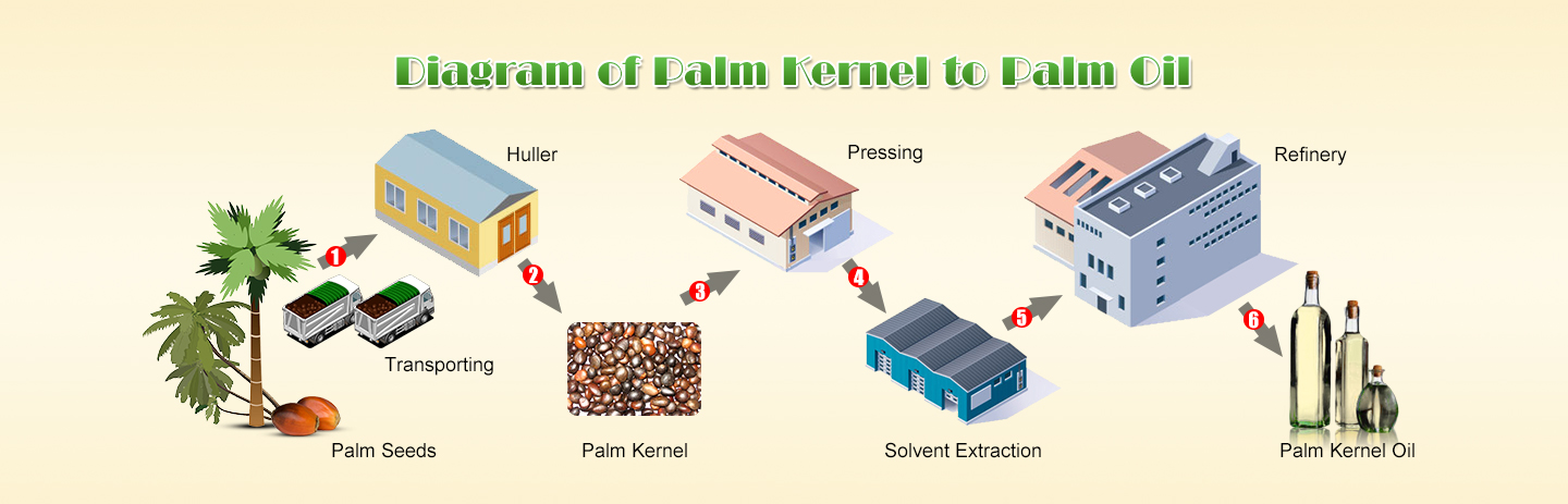 Palm oil processing line diagram