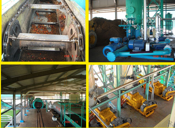  Palm Oil Production 