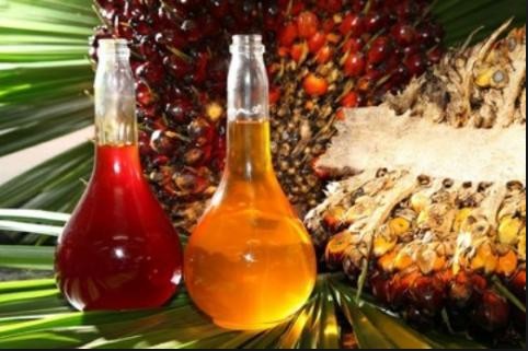 palm oil