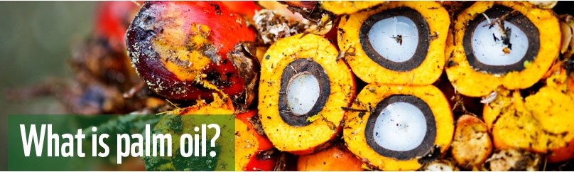 What's the products with palm oil?