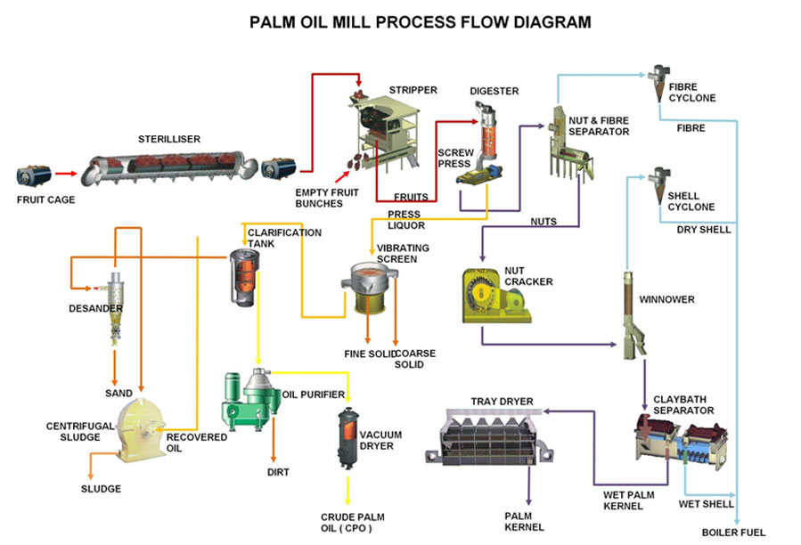 palm oil making process