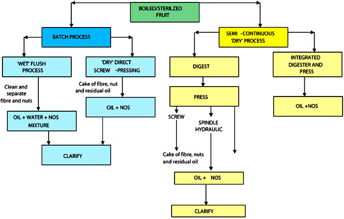 how is palm oil made