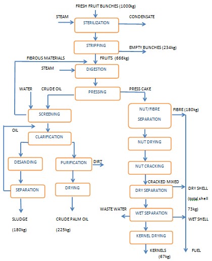 palm oil process