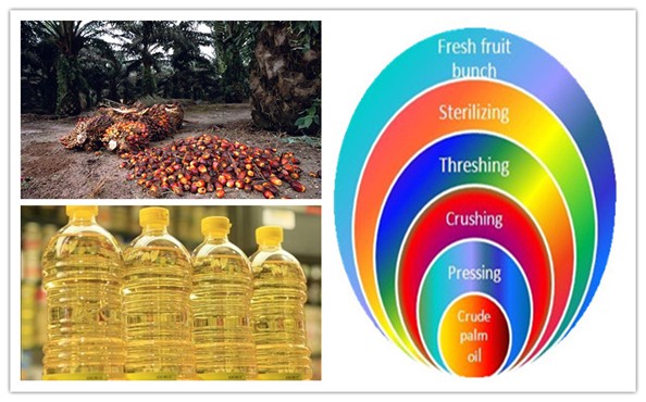 how is palm oil made