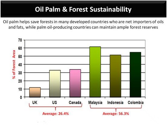 palm oil industry