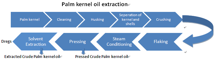 palm kernel oil extraction