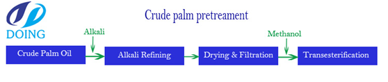 palm oil to Biodiesel