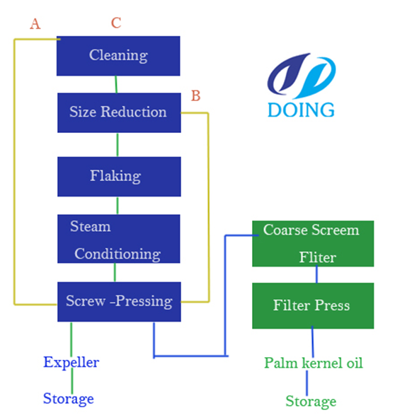 palm oil extraction