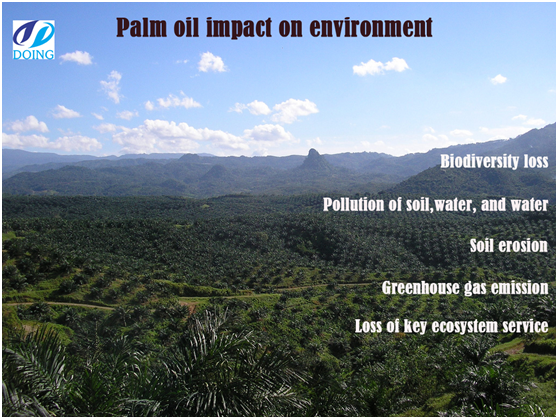 Palm oil impact on environment
