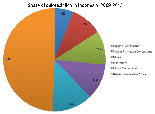 Indonesian palm oil plants