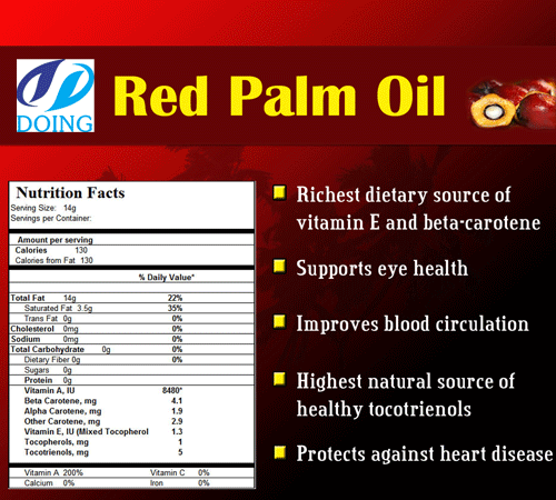 palm oil extraction plant