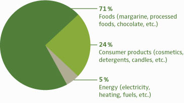 palm oil uses