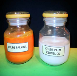 crude papm oil and crude palm kernel oil
