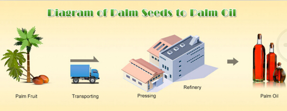 palm fruit oil processing plant