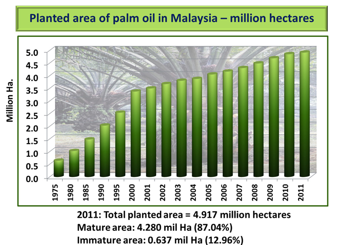 Palm oil industry in malaysia