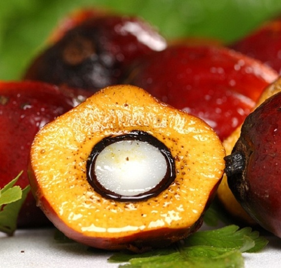 Palm fruit