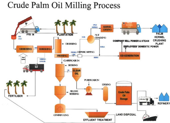 crude palm oil milling machine