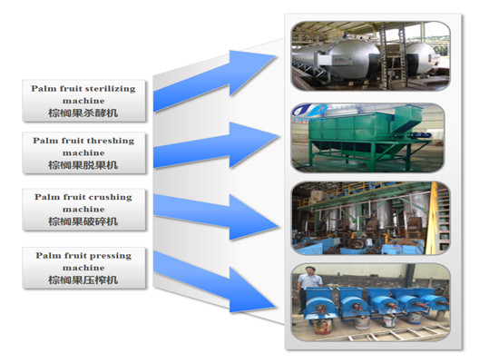 Palm Oil making machine