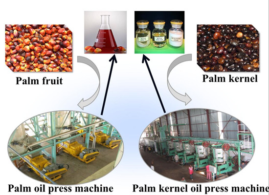 palm fruit oil press machine 