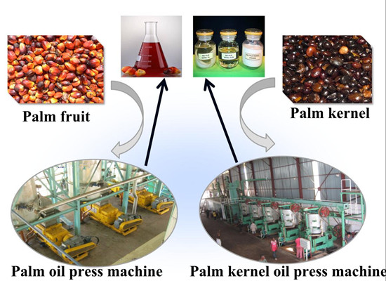 Palm Oil press