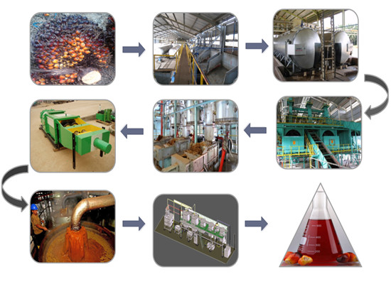 Palm Oil making process