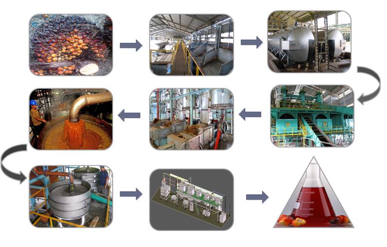 palm oil press process