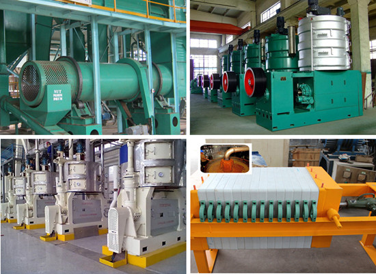 Palm Kernel Oil Processing Machine