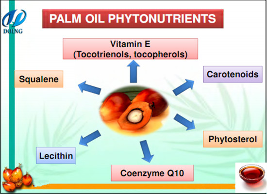 palm oil components 