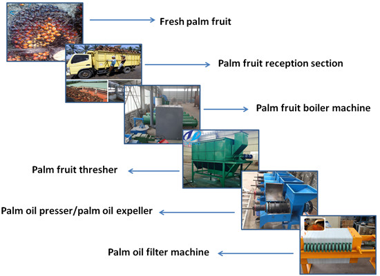 palm oil extraction process