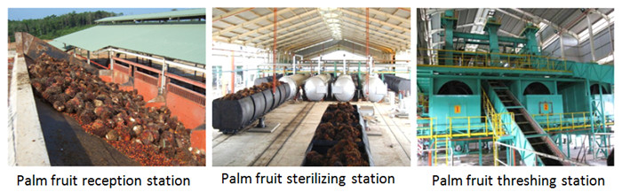 palm oil mill palnt 