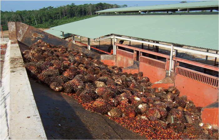 palm oil mill process machinery 