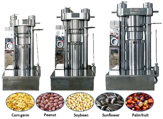 Sesame Oil press