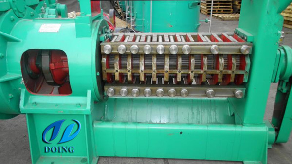 Cooking Oil expeller