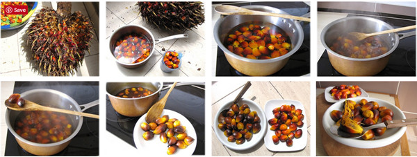 Palm fruit