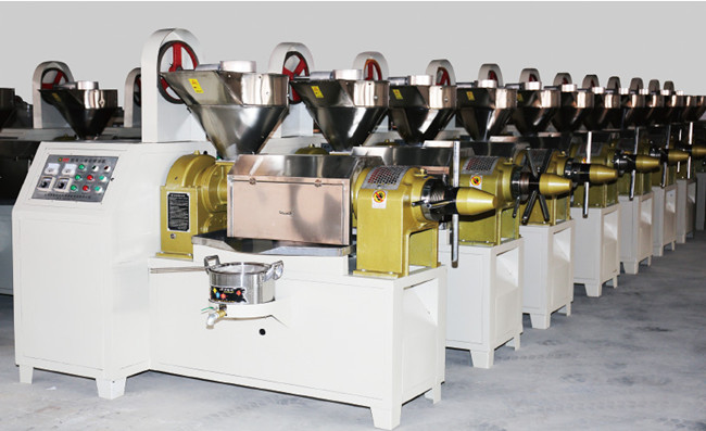 Huile de semence presse machine extracteur d'huile presse à froid