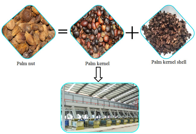 palm kernel oil expeller