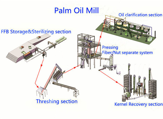 palm oil processing process 