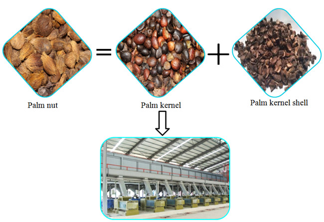 Palm number Oil expeller