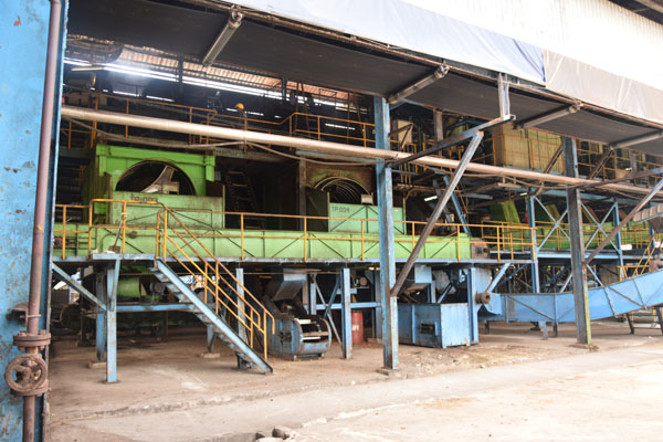 standard Palm Oil Project