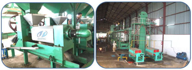 Palm Oil Pressure machine