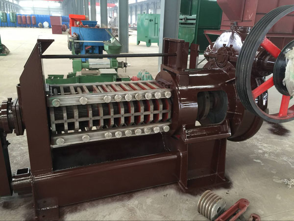 pallm kernel oil press machine