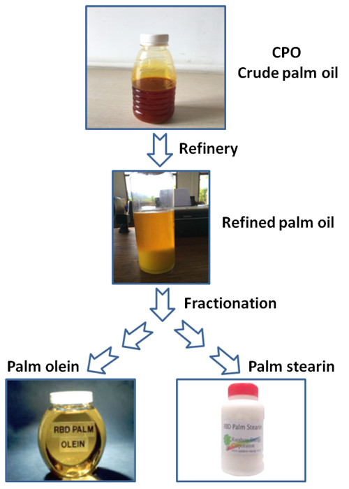Palm number Oil Product